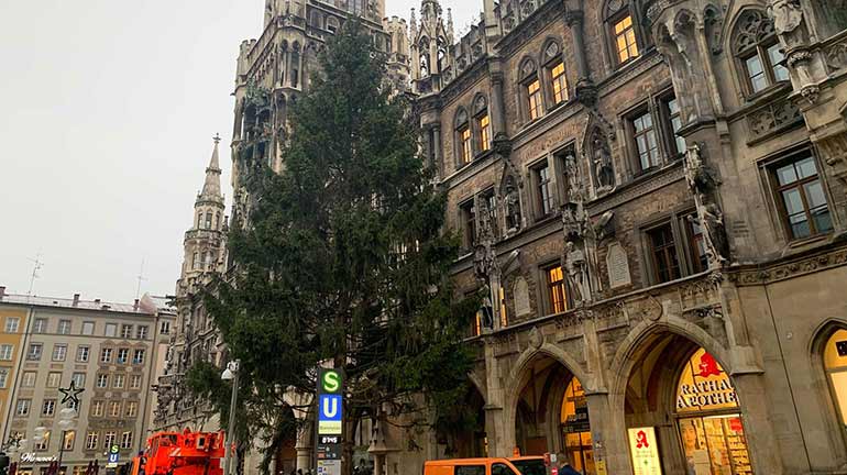 Das ist Münchens (Ersatz-)Christbaum 2019