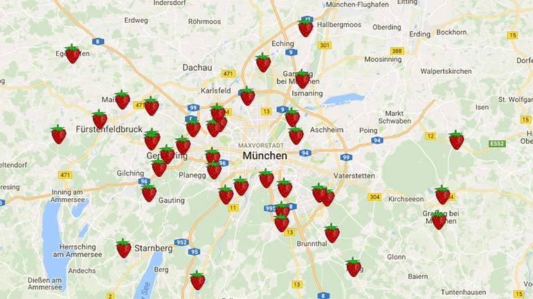 Erdbeerfelder in und um München