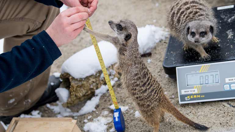 Inventur im Tierpark Hellabrunn