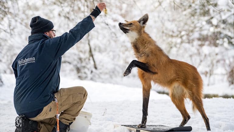 Inventur im Tierpark Hellabrunn