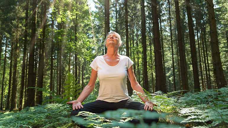 Wellnesstrend Waldbaden: die Standorte rund um München