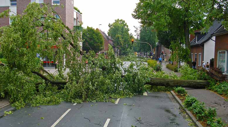 Sturmschäden durch Orkan Sabine – Wer haftet?