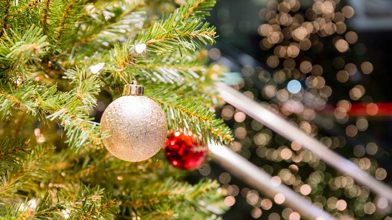 Tipps: so bleibt dein Christbaum frisch