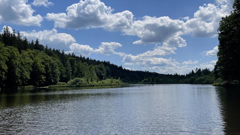 Badewarnung wegen giftiger Bakterien: Zwei Badeseen im Landkreis München betroffen