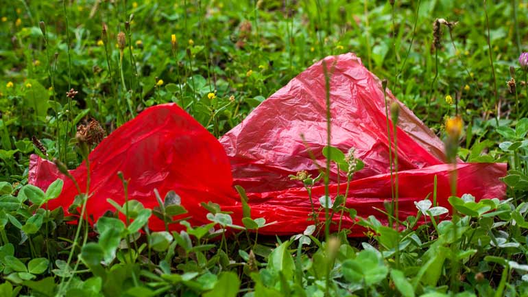 Unbekannter zieht Joggerin Plastiktüte über den Kopf