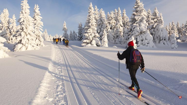 Olympische Winterspiele: Diese Disziplinen kannst du in München nachspielen