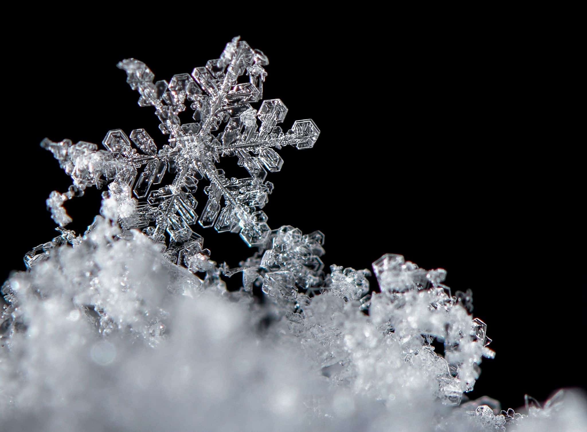 Ist wirklich jede Schneeflocke einzigartig?