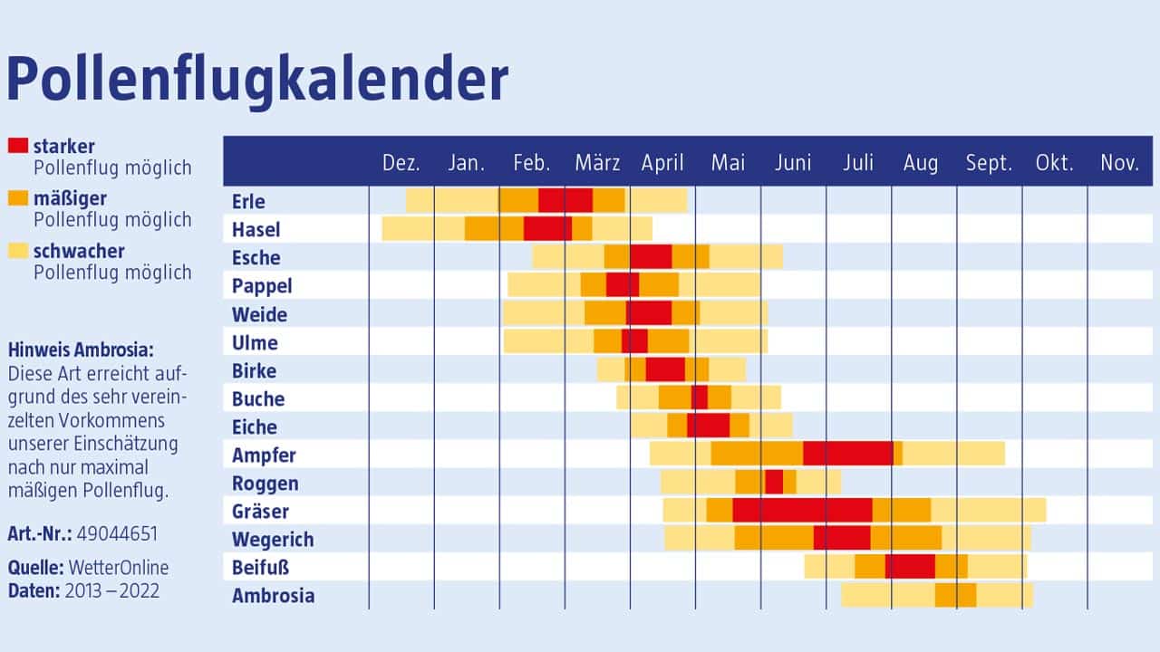 Pollenflug München – Der Kalender für 2023