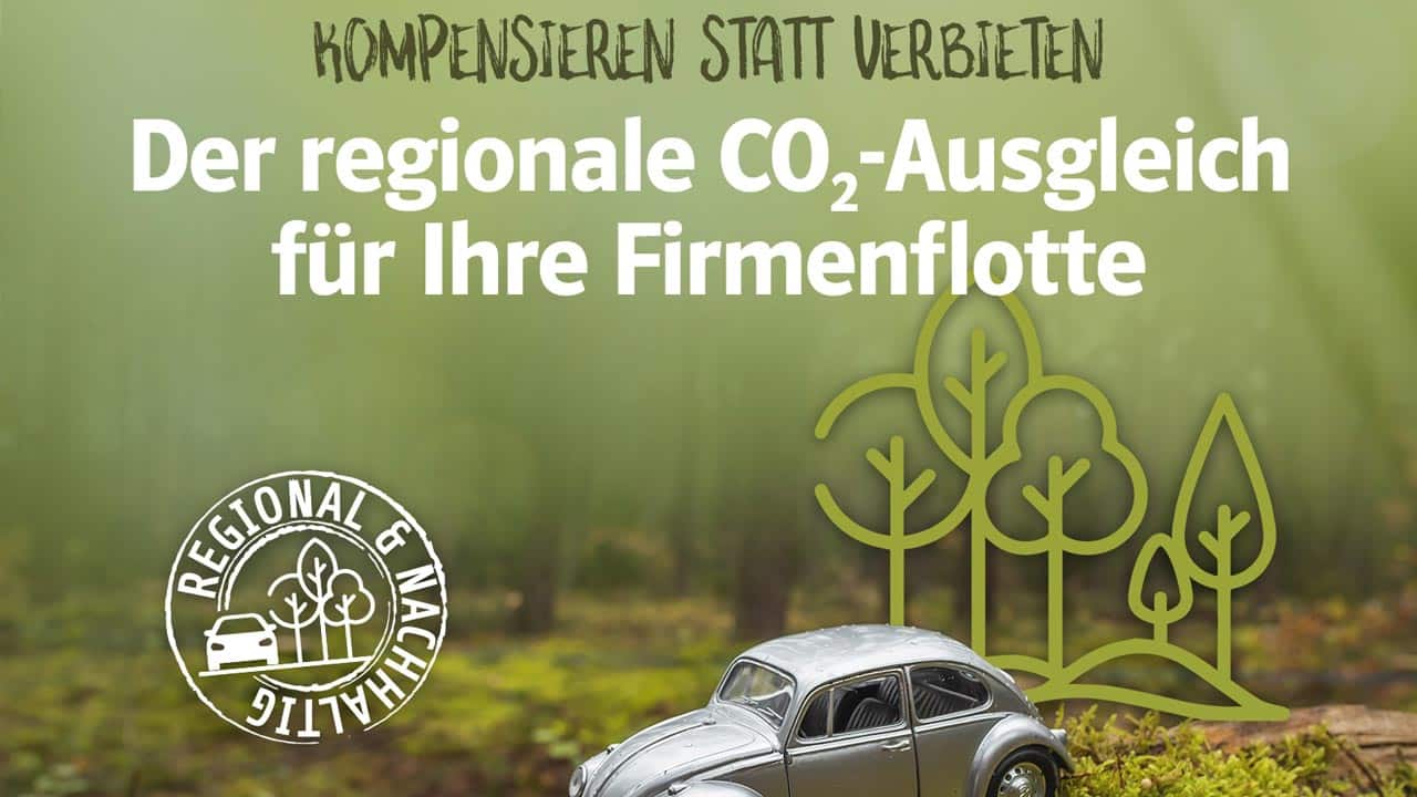 Kompensieren statt verbieten: Wie man Klimaschutz und Autofahren vereinen kann